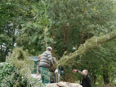 Zdjęcie w galerii projektu