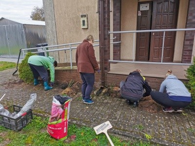 Zdjęcie w galerii projektu