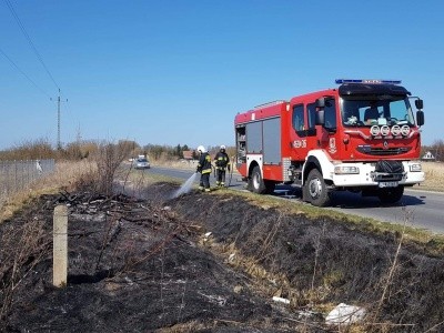 Zdjęcie w galerii projektu