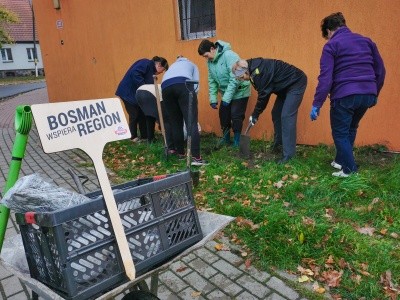 Zdjęcie w galerii projektu