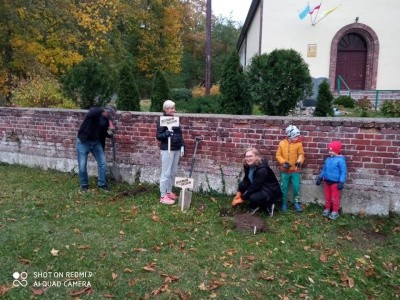 Zdjęcie w galerii projektu