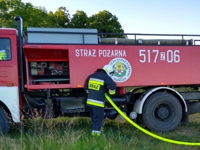 Zdjęcie w galerii projektu