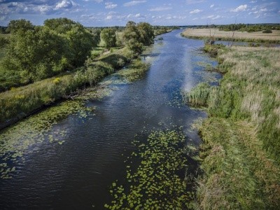 Zdjęcie w galerii projektu