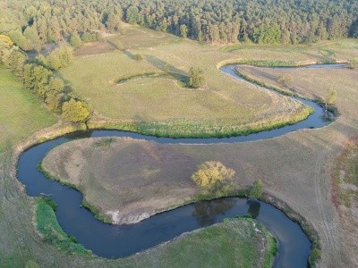 Zdjęcie w galerii projektu