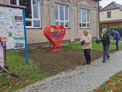 Zdjęcie w galerii projektu