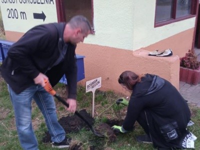 Zdjęcie w galerii projektu