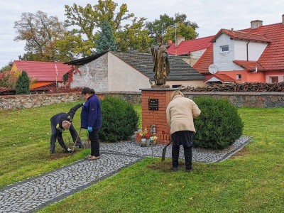 Zdjęcie w galerii projektu